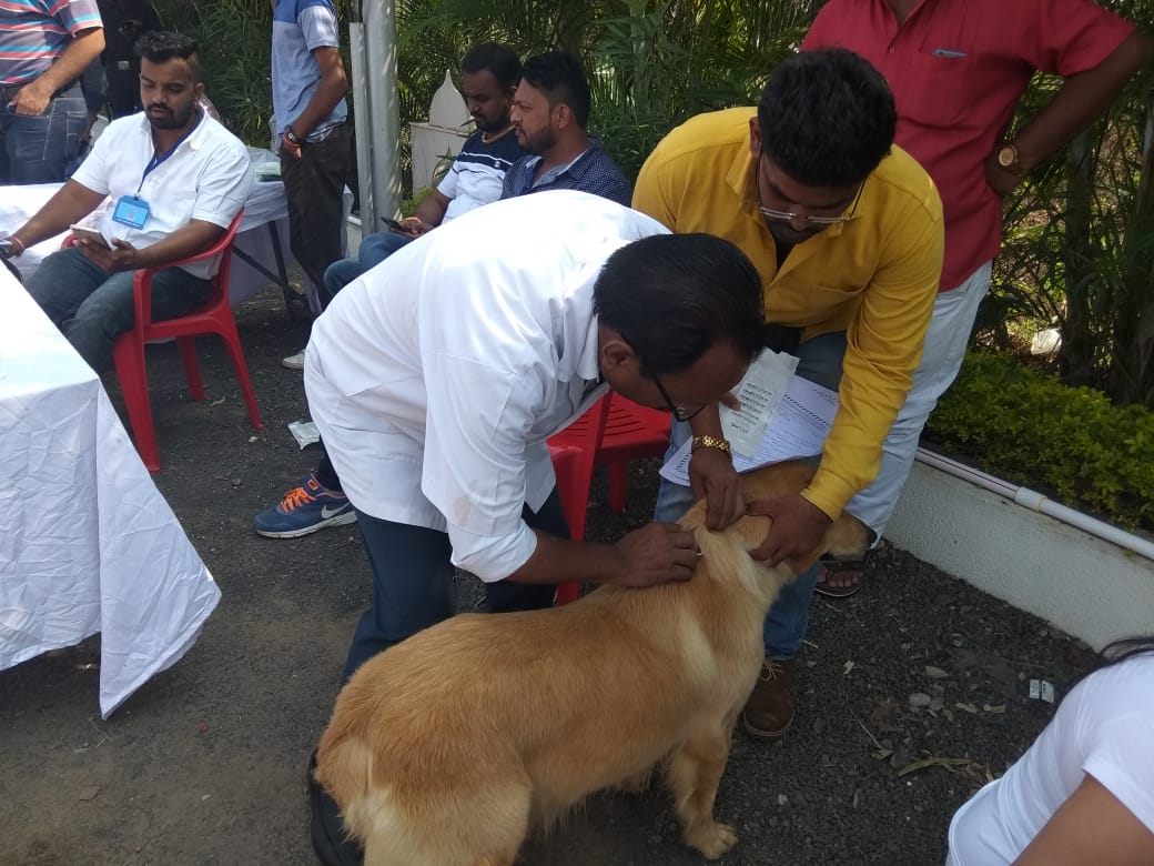 Sarvadnya Pet Care Unit veterinary clinic, Pune